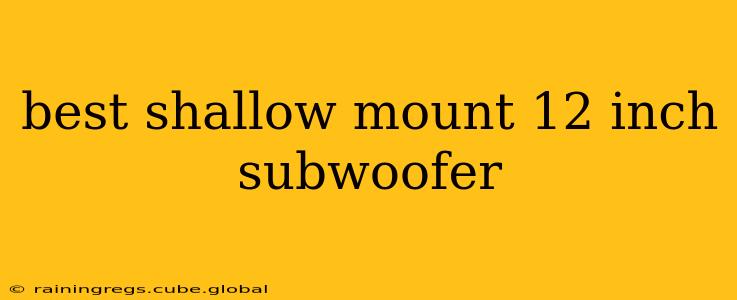 best shallow mount 12 inch subwoofer