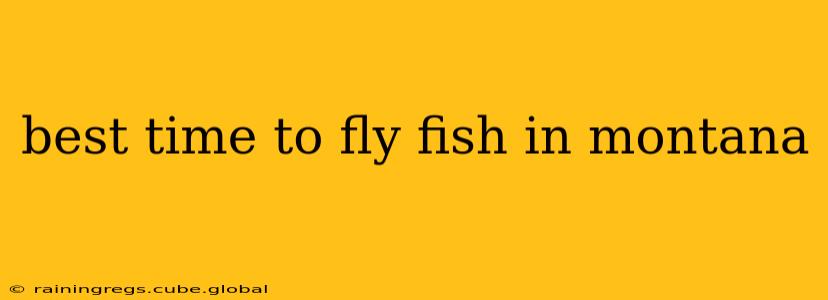 best time to fly fish in montana