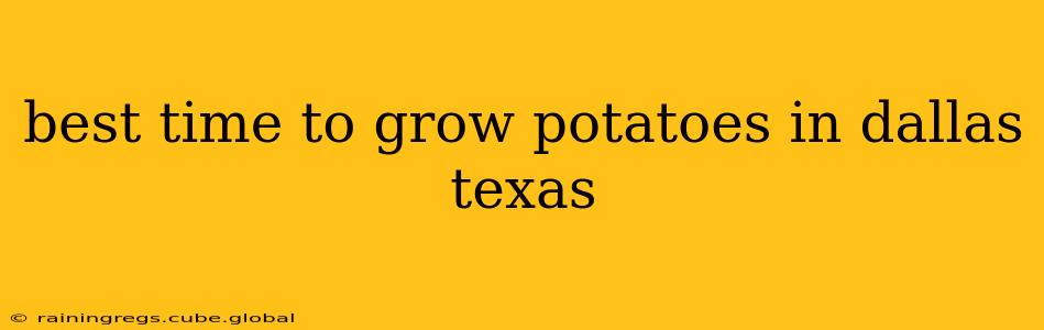 best time to grow potatoes in dallas texas