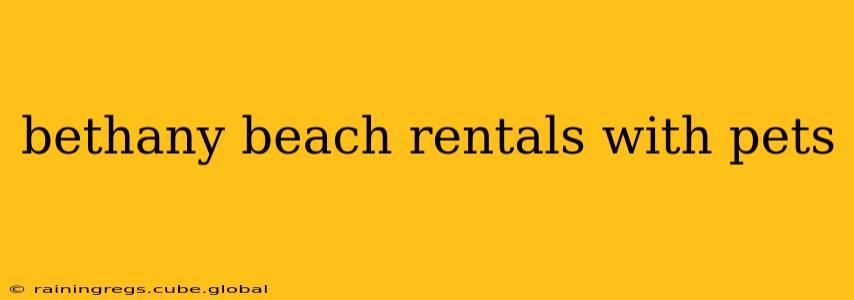 bethany beach rentals with pets