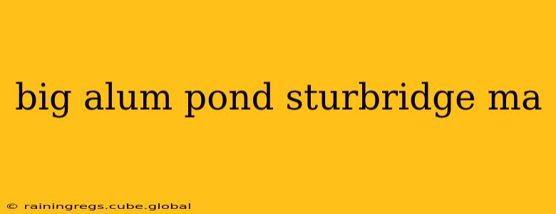 big alum pond sturbridge ma