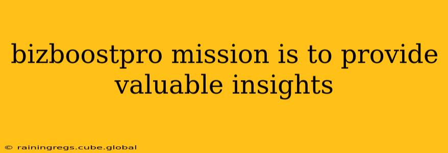 bizboostpro mission is to provide valuable insights