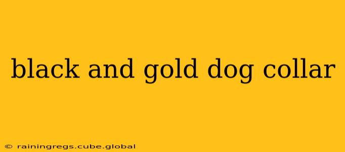black and gold dog collar