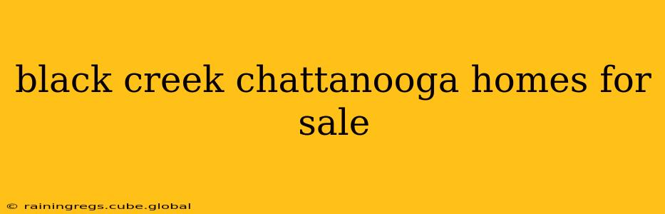 black creek chattanooga homes for sale