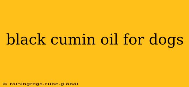 black cumin oil for dogs