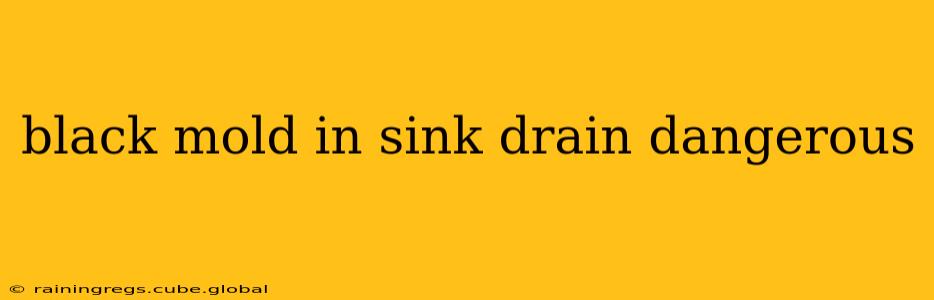 black mold in sink drain dangerous
