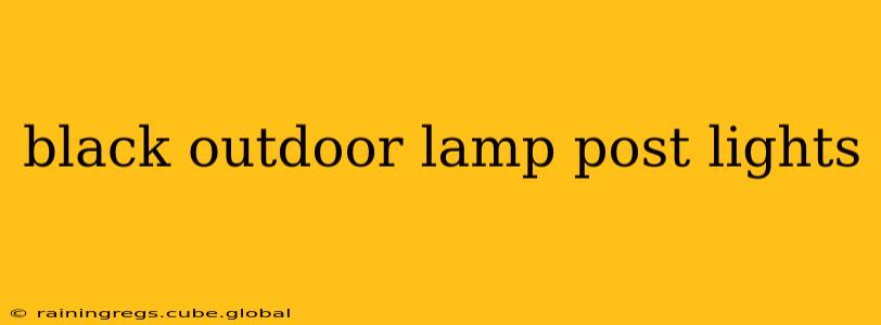 black outdoor lamp post lights