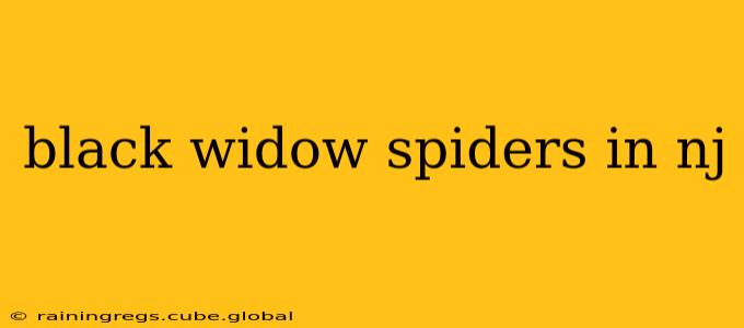 black widow spiders in nj