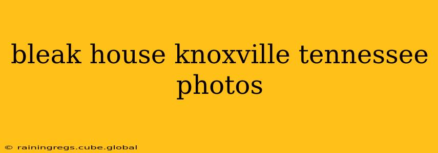 bleak house knoxville tennessee photos