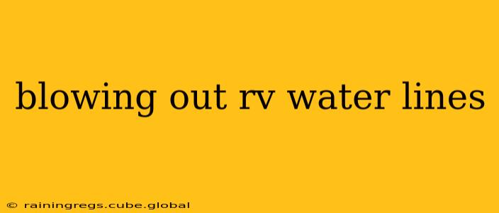 blowing out rv water lines