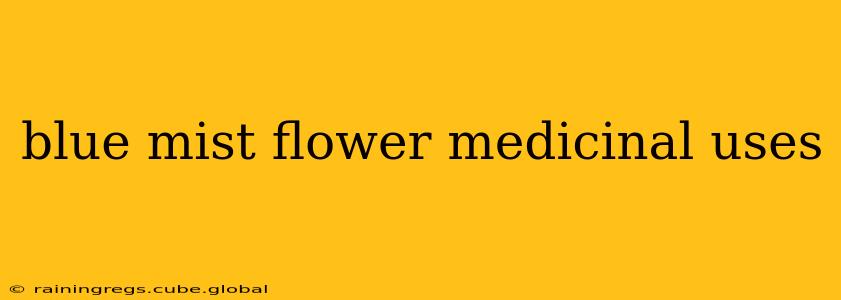 blue mist flower medicinal uses