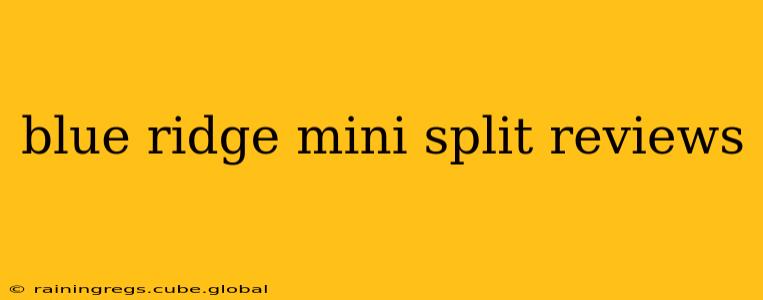 blue ridge mini split reviews