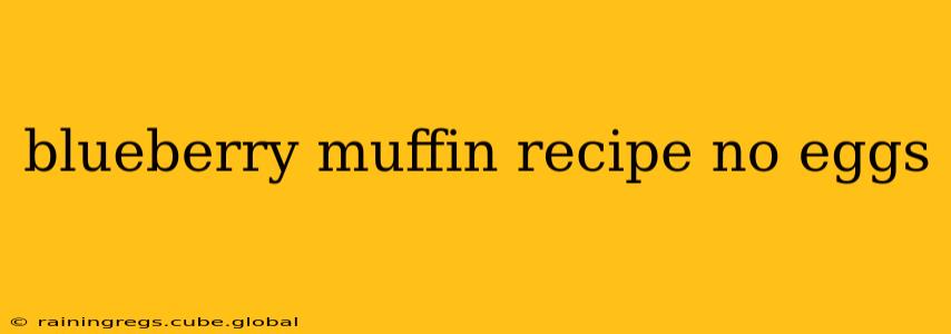 blueberry muffin recipe no eggs