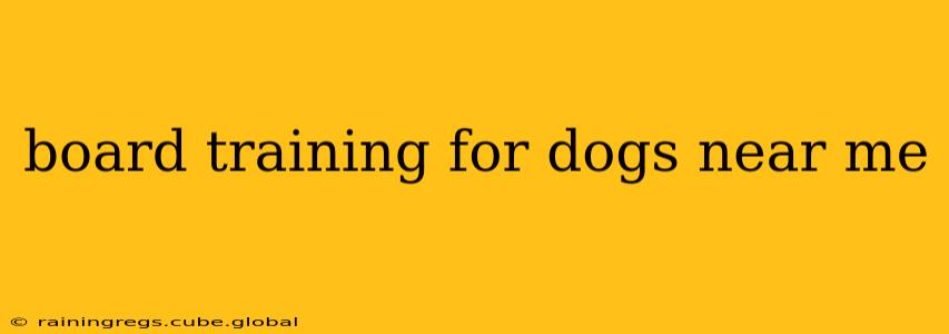 board training for dogs near me
