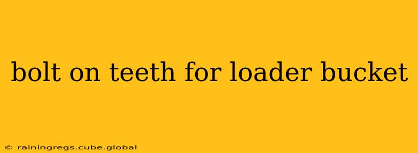 bolt on teeth for loader bucket