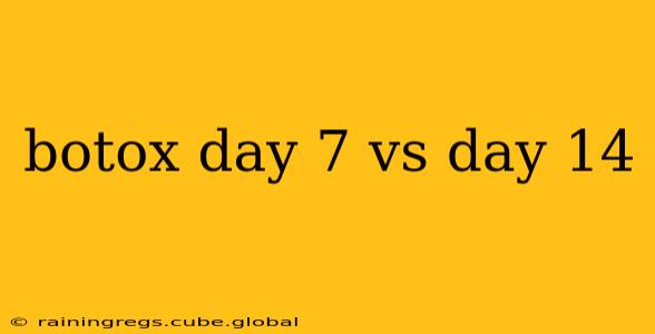 botox day 7 vs day 14