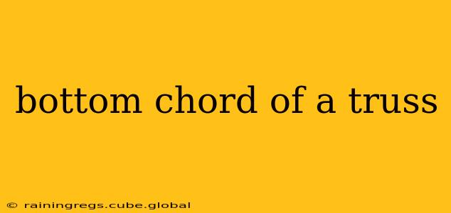 bottom chord of a truss
