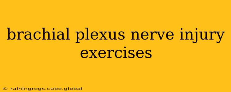 brachial plexus nerve injury exercises