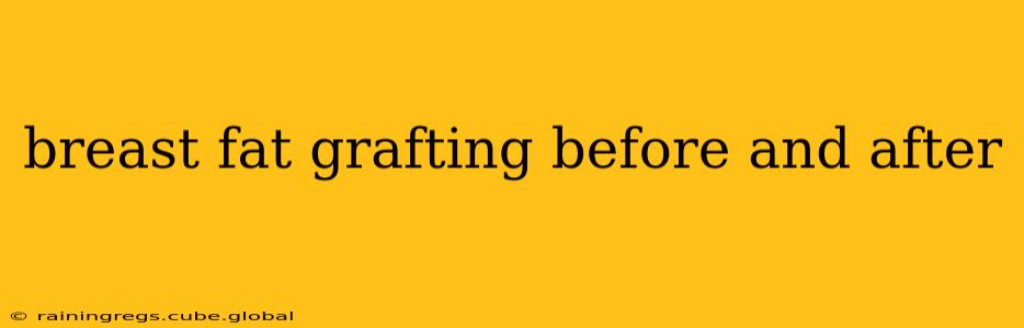 breast fat grafting before and after