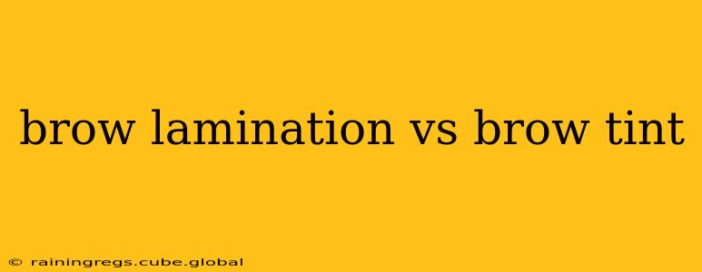 brow lamination vs brow tint