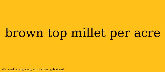 brown top millet per acre