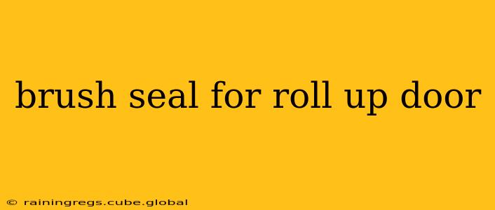 brush seal for roll up door