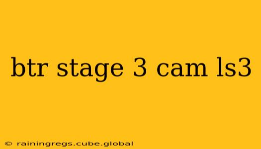 btr stage 3 cam ls3