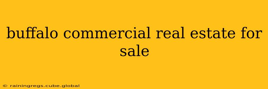 buffalo commercial real estate for sale