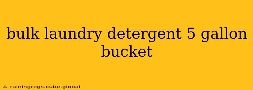 bulk laundry detergent 5 gallon bucket