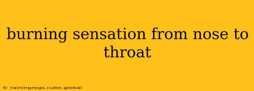 burning sensation from nose to throat