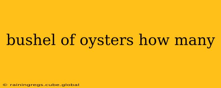 bushel of oysters how many