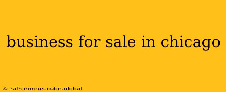 business for sale in chicago