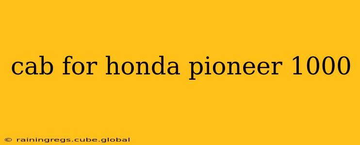 cab for honda pioneer 1000