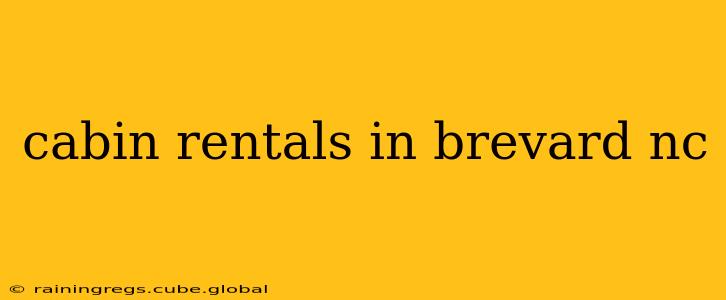 cabin rentals in brevard nc