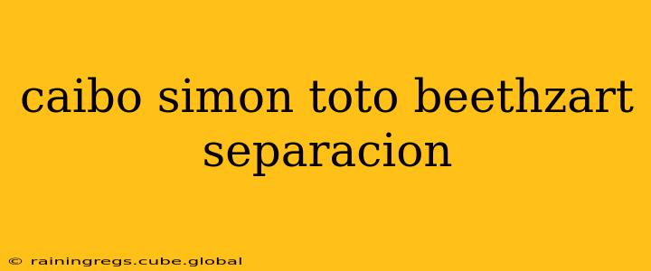 caibo simon toto beethzart separacion