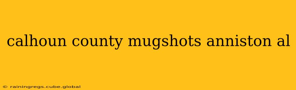 calhoun county mugshots anniston al