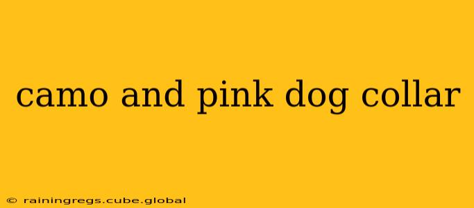 camo and pink dog collar