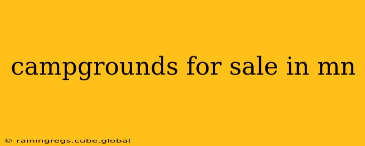 campgrounds for sale in mn
