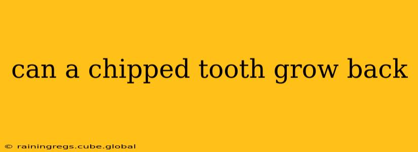 can a chipped tooth grow back