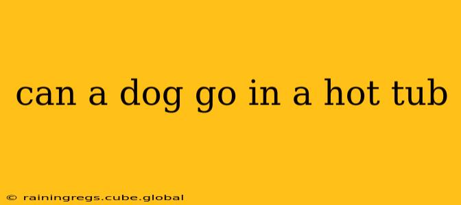can a dog go in a hot tub