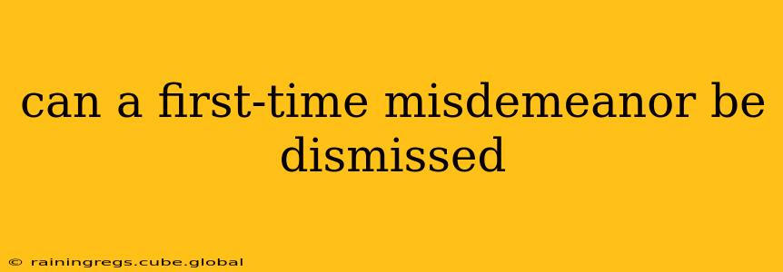 can a first-time misdemeanor be dismissed