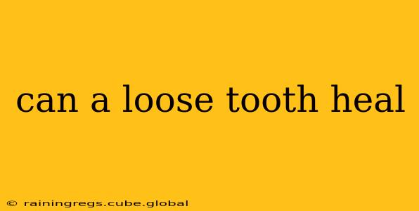 can a loose tooth heal