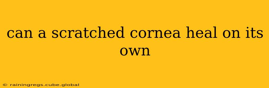 can a scratched cornea heal on its own