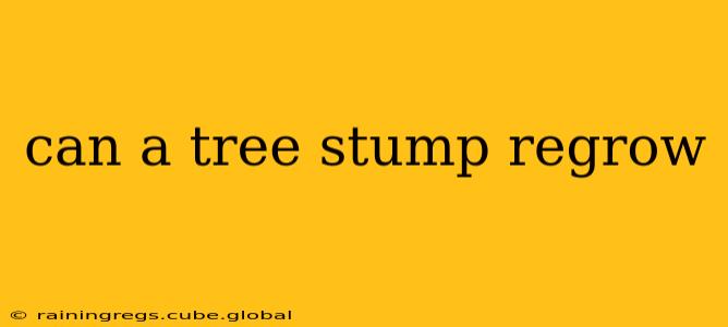 can a tree stump regrow