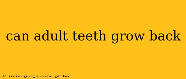 can adult teeth grow back