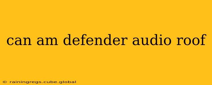 can am defender audio roof