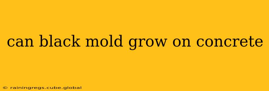 can black mold grow on concrete