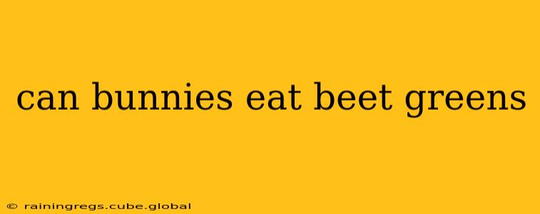can bunnies eat beet greens