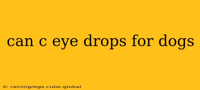 can c eye drops for dogs