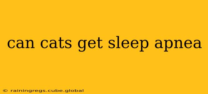 can cats get sleep apnea